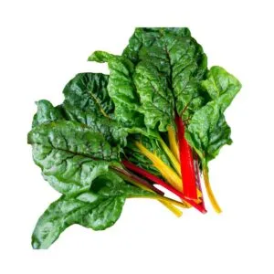 Semillas de Acelga de colores
