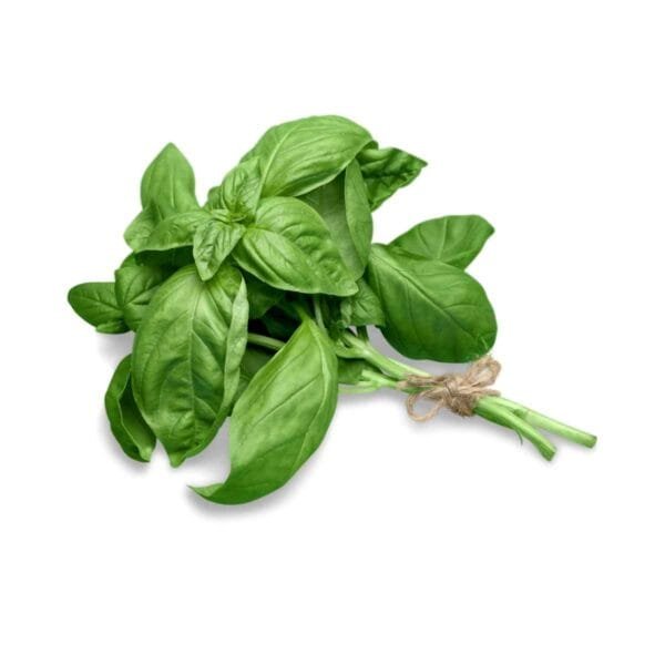 Semillas de Albahaca