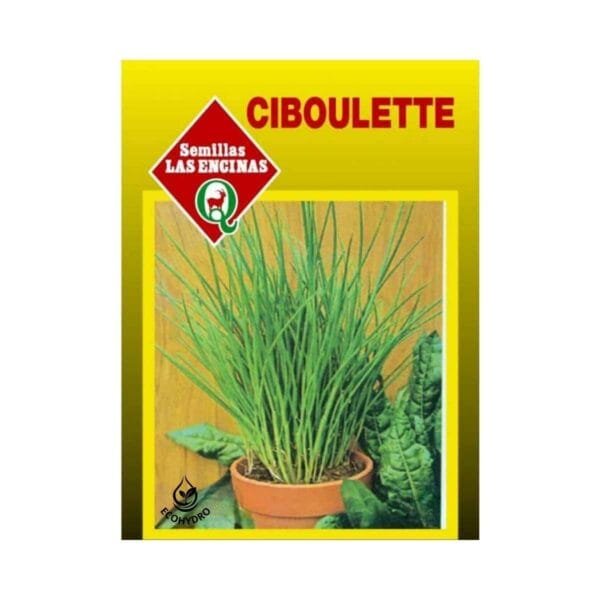 semillas de ciboulette