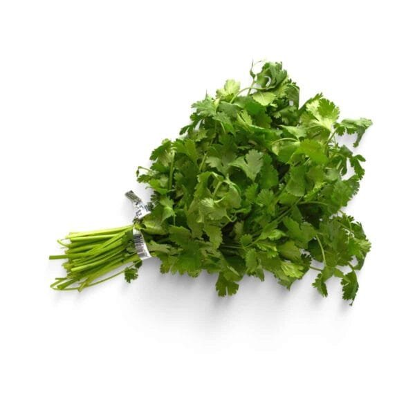 Semillas de Cilantro