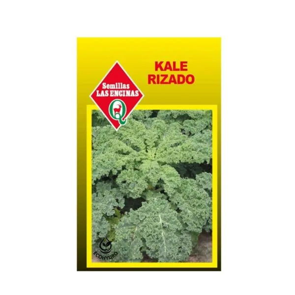 semillas de kale