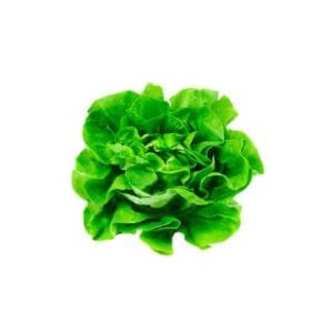 Semilla de Lechuga española