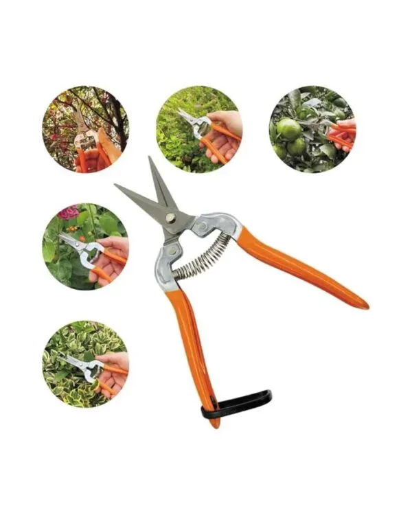 Tijera Recolectora Para Podar Frutas Uva Toolmak 7puLG/180mm - Imagen 3