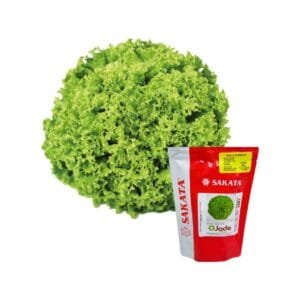 Semilla de Lechuga Jade 7.500 U (Sakata)