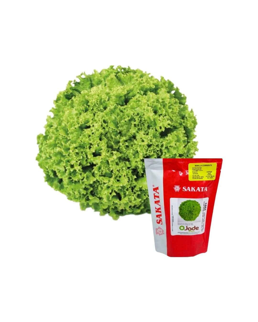 Semilla de Lechuga Jade 7.500 U (Sakata)