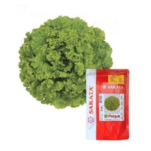Semilla de Lechuga Psique 7.500 U (Sakata)
