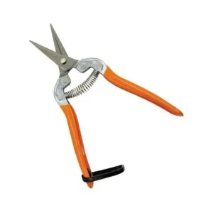 Tijera Recolectora Para Podar Frutas Uva Toolmak 7puLG/180mm