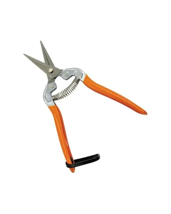 Tijera Recolectora Para Podar Frutas Uva Toolmak 7puLG/180mm