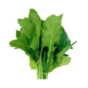 Semilla Espinaca Maka Híbrida F1 Tipo Pitón 1 kg | Variedad Profesional Italia